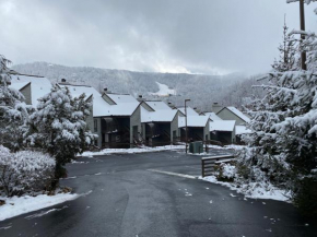 High Alpine 109 Gatlinburg